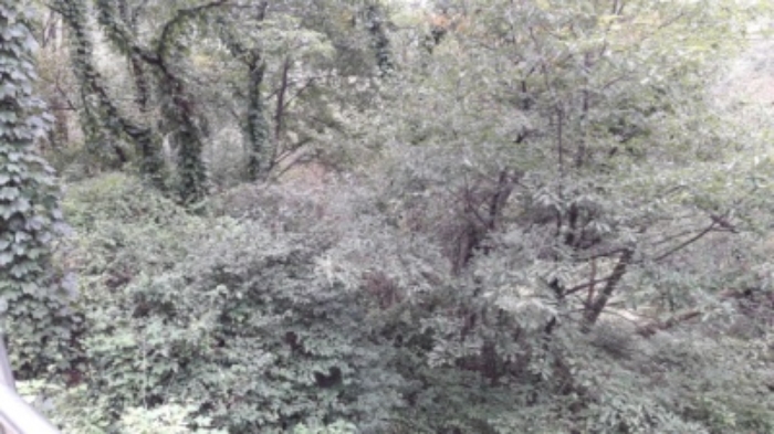 종로 평창동 부동산…