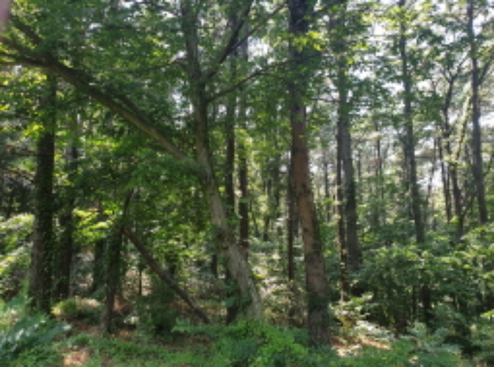 경매 물건 사진