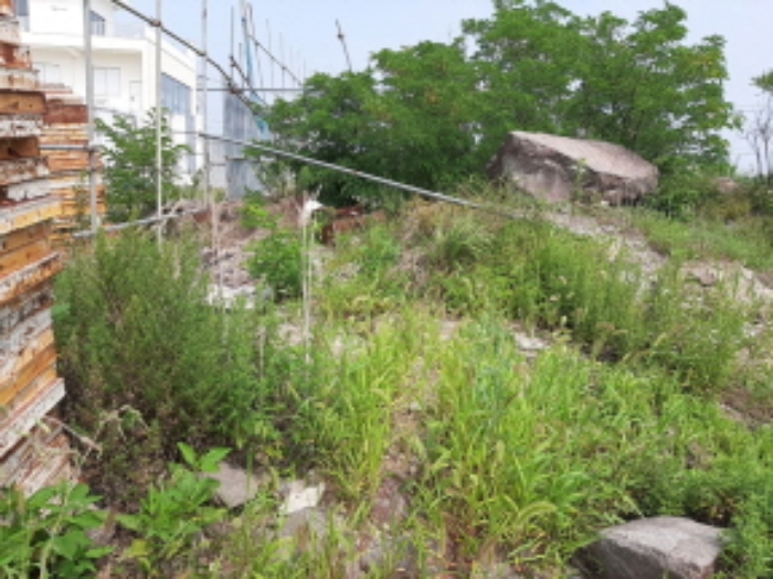 경매 물건 사진