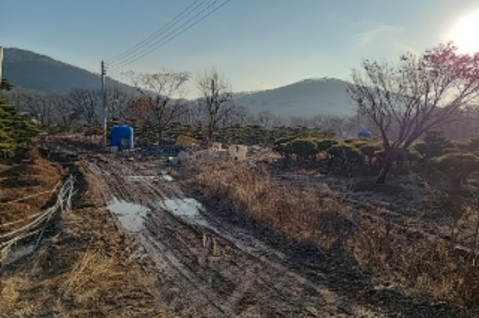 강화 양도면 토지 …