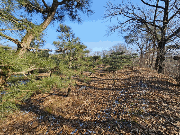 경매 물건 상세 사진