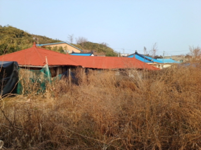 덕적면 건물 경매,…