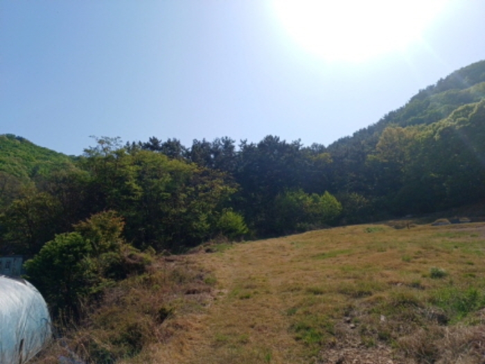 경매 물건 사진