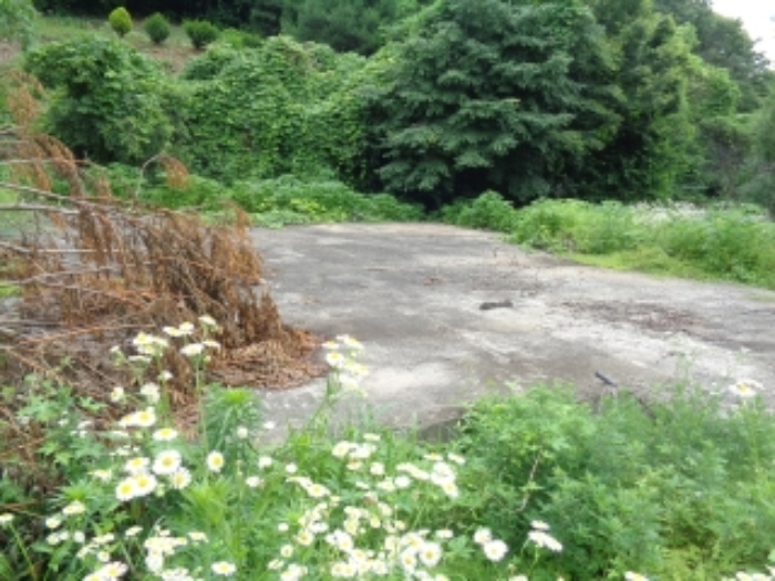 유방동 부동산 경매…