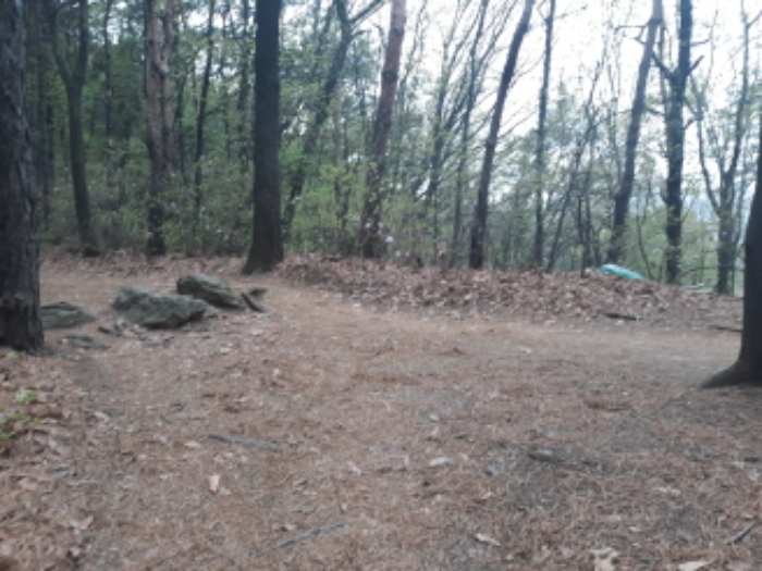 경매 물건 사진