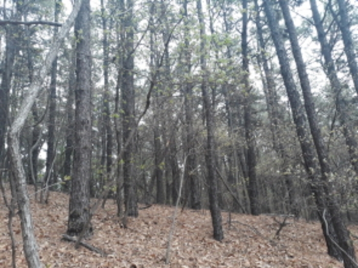 경매 물건 상세 사진