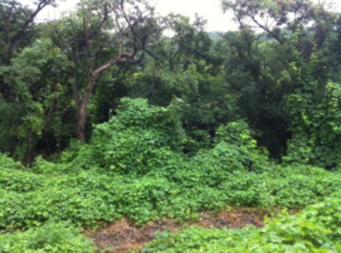 경매 물건 사진