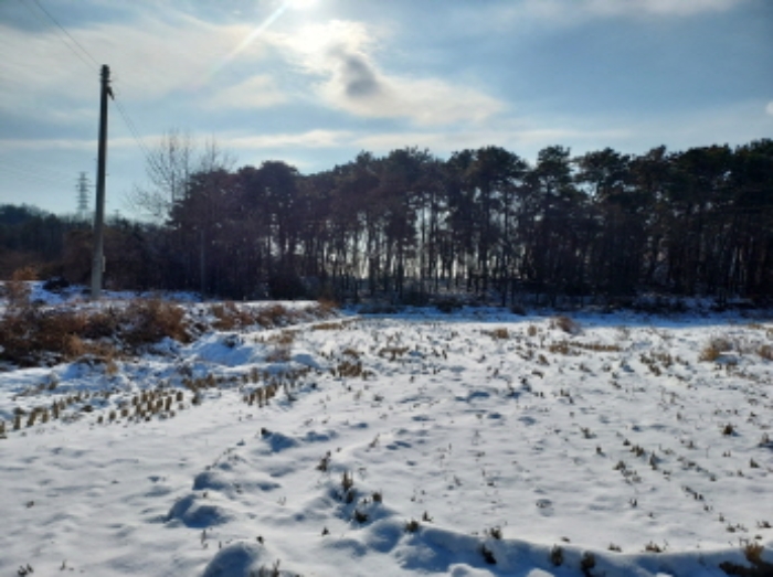 화성 향남읍 토지 …