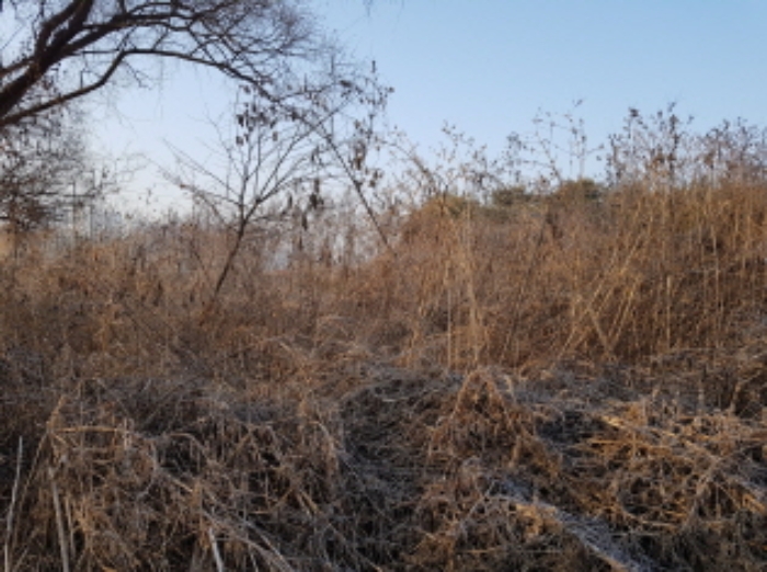 향남읍 토지 경매,…