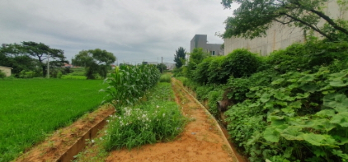 경매 물건 사진