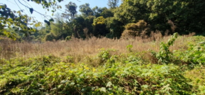 경매 물건 상세 사진