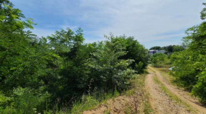 경매 물건 상세 사진