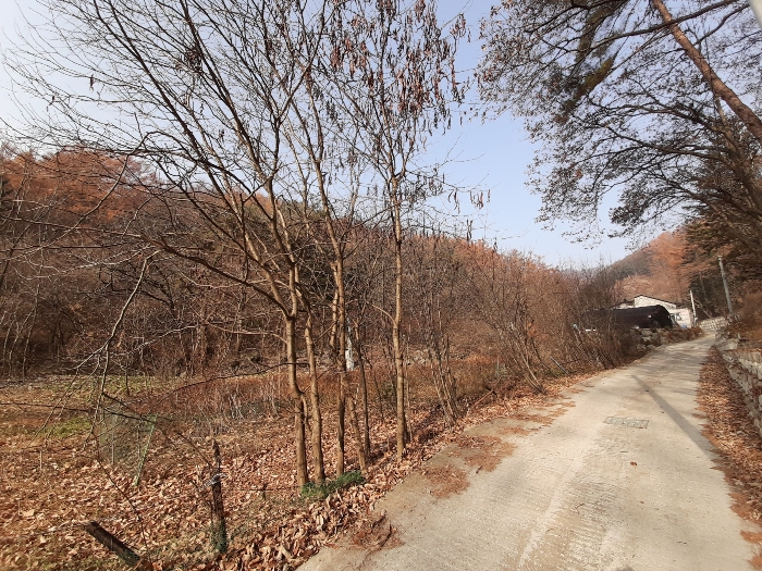 경매 물건 상세 사진