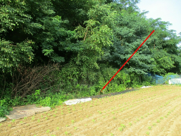 경매 물건 상세 사진