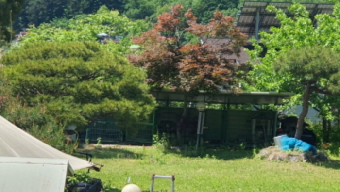 경매 물건 사진