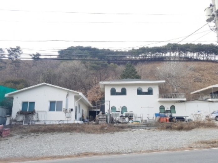 춘천 동면 부동산 …