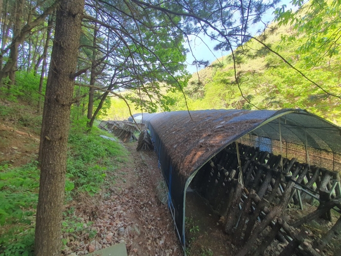 경매 물건 상세 사진