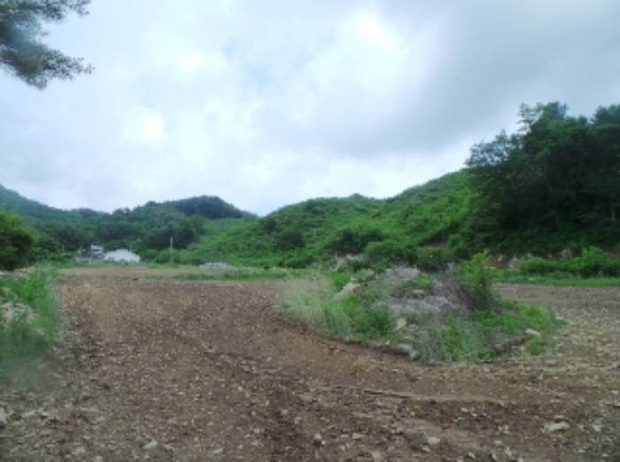 홍천 괘석리 부동산…