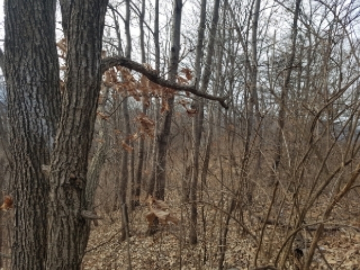 경매 물건 상세 사진