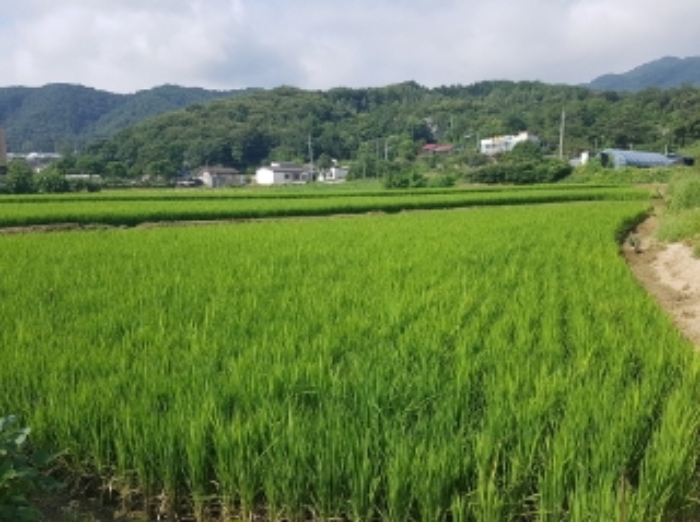 경매 물건 사진