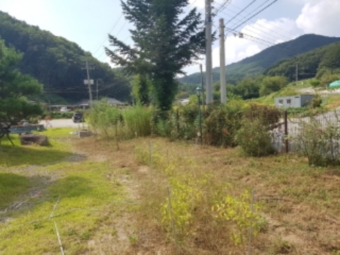 경매 물건 사진