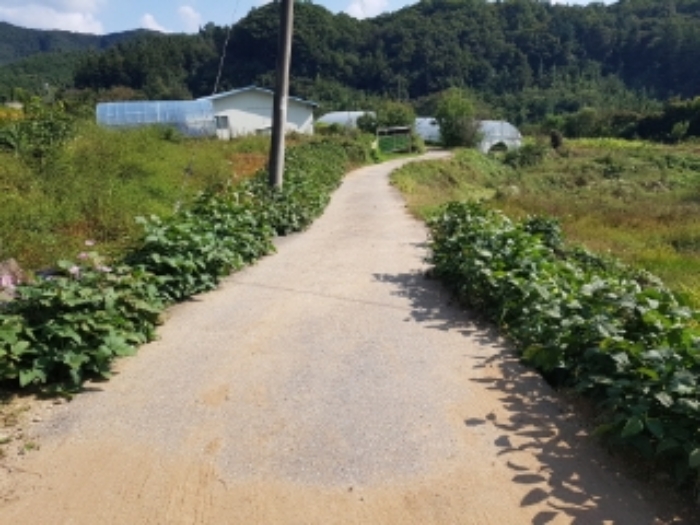경매 물건 상세 사진