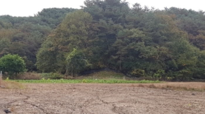 경매 물건 사진