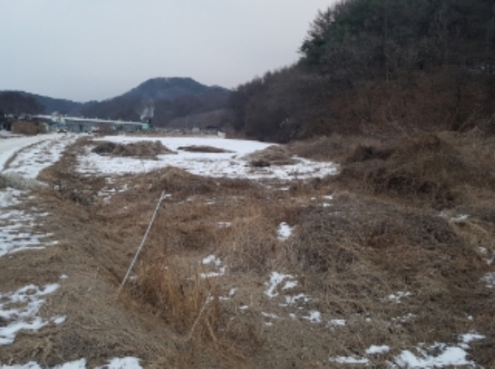춘천 광판리 부동산…