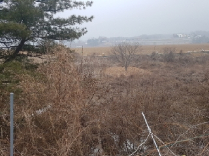 춘천 고은리 토지 …