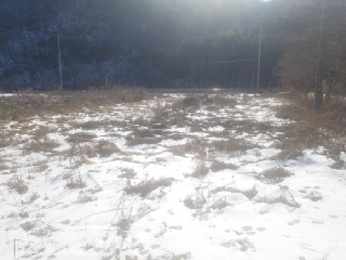 4번 유찰된 춘천 …