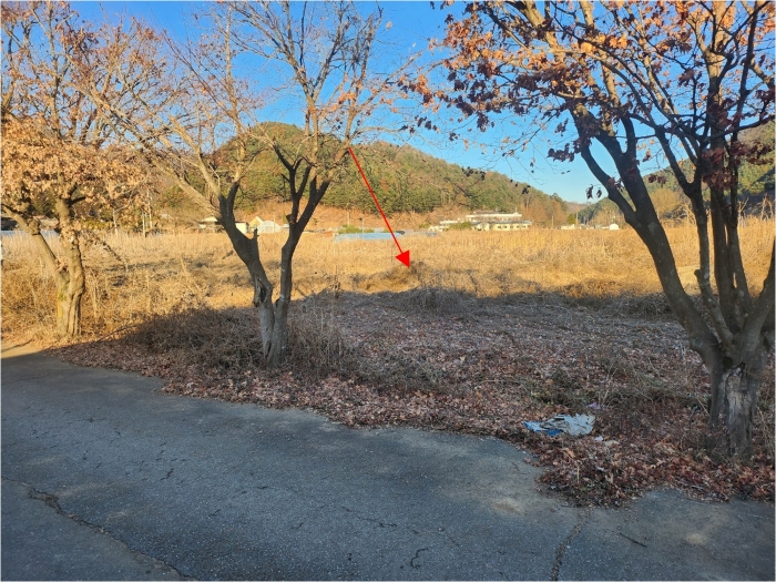 경매 물건 상세 사진