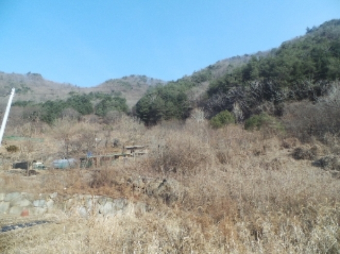 경매 물건 상세 사진