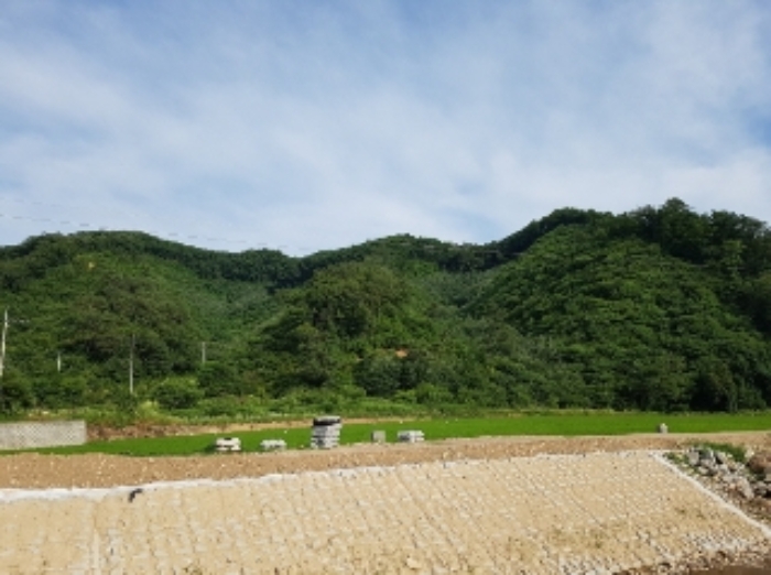 춘천 서면 부동산 …