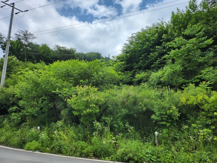 경매 물건 상세 사진