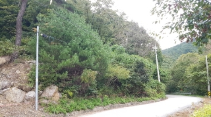 경매 물건 사진