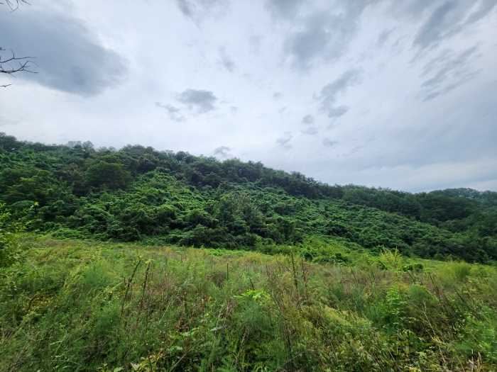 경매 물건 상세 사진