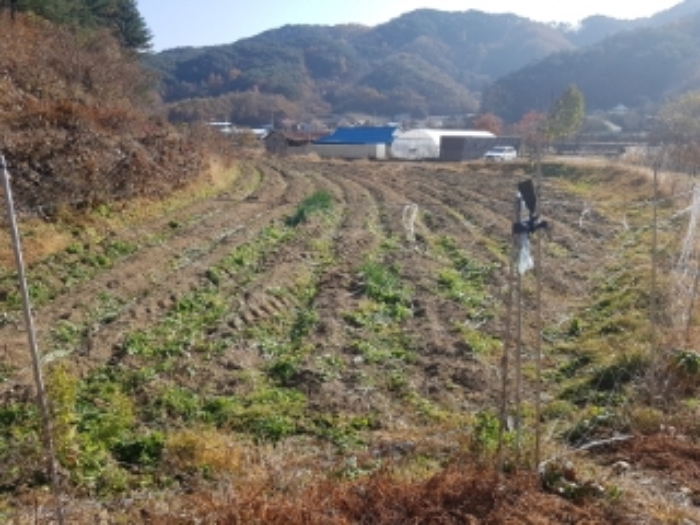 경매 물건 사진