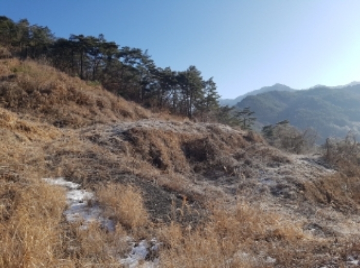 홍천 서석면 임야 …
