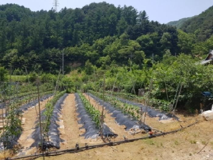 경매 물건 상세 사진
