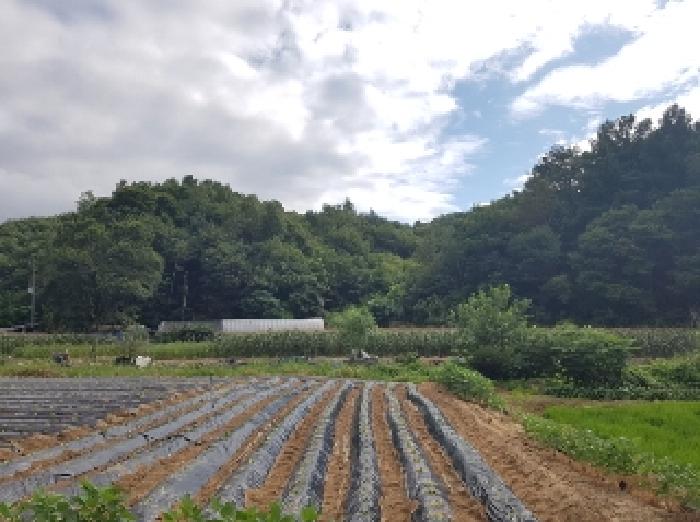 경매 물건 사진