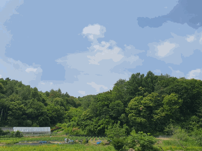 경매 물건 상세 사진