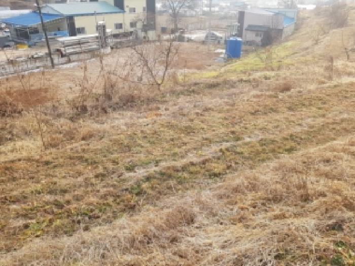 춘천 동면 부동산 …