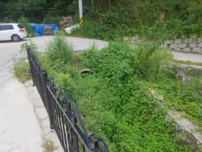 춘천 퇴계동 부동산…