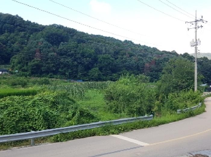 춘천 방곡리 토지 …