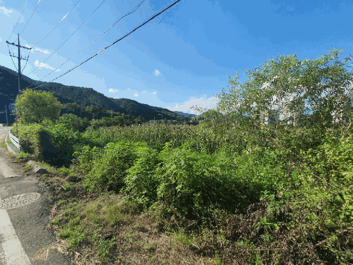경매 물건 상세 사진