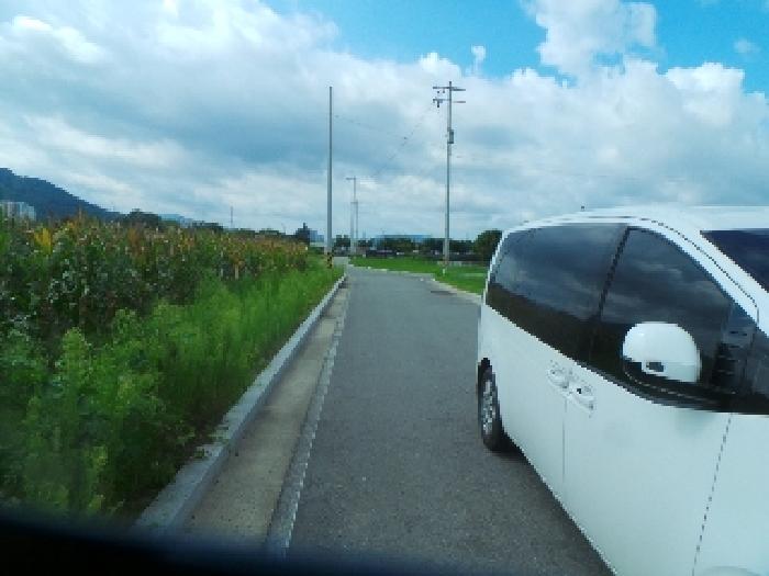 춘천 사농동 부지 …