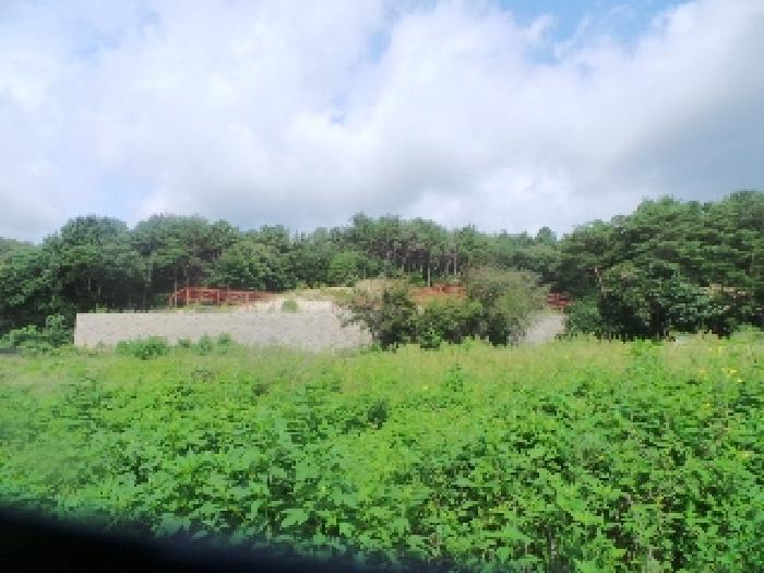 경매 물건 사진