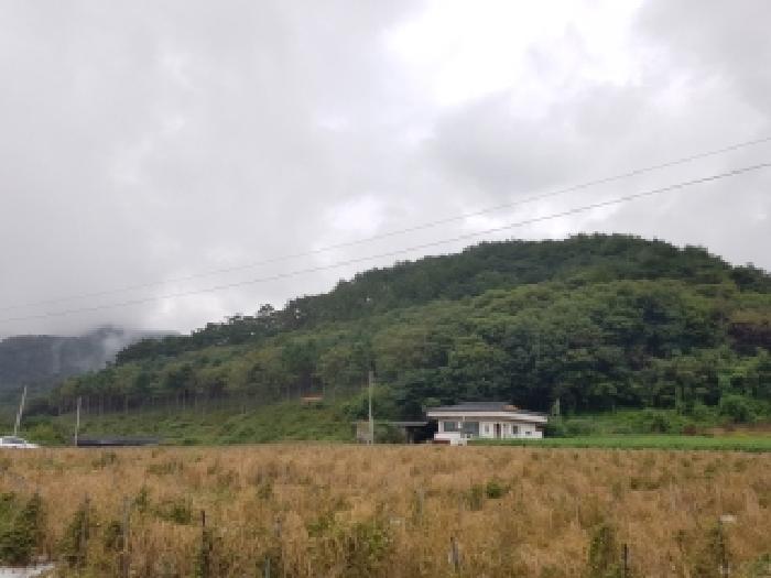 경매 물건 사진