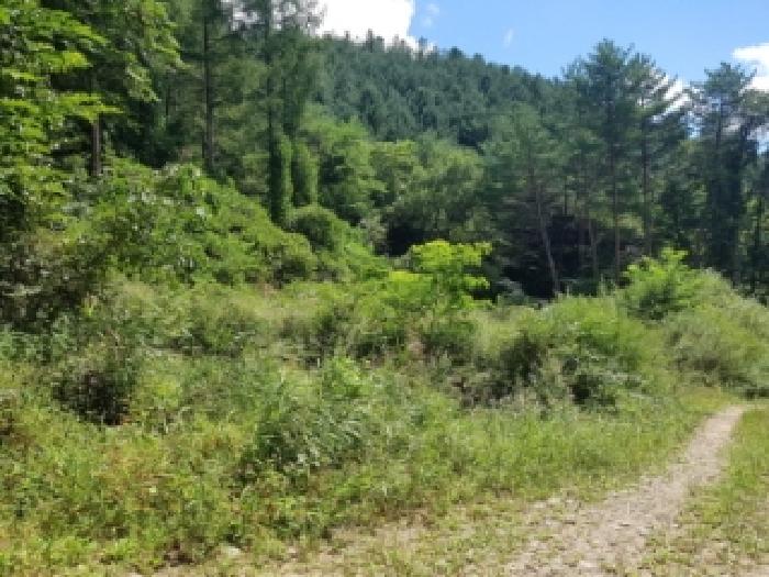 인제 하추리 토지 …