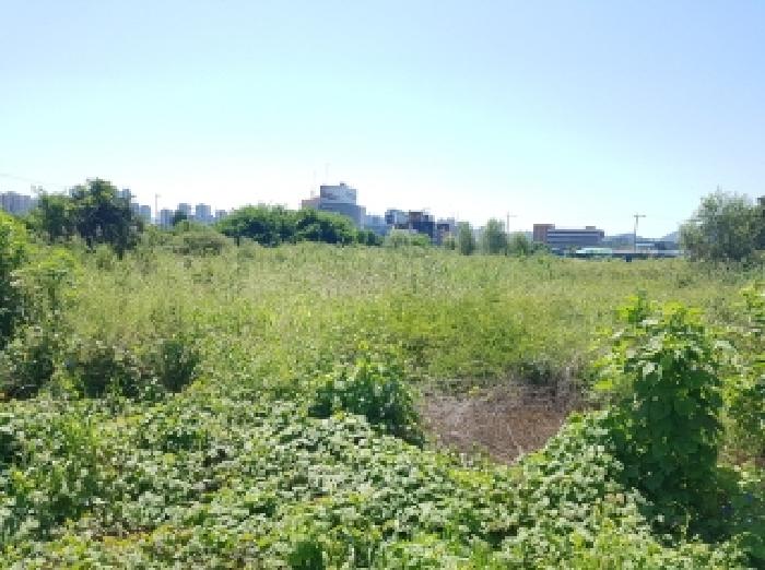 경매 물건 사진